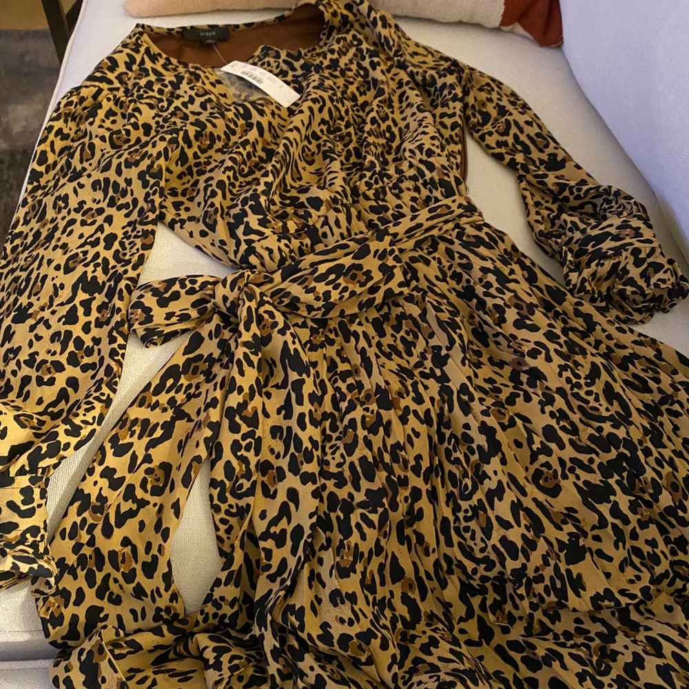 JCrew leopard print accordion skirt dress.